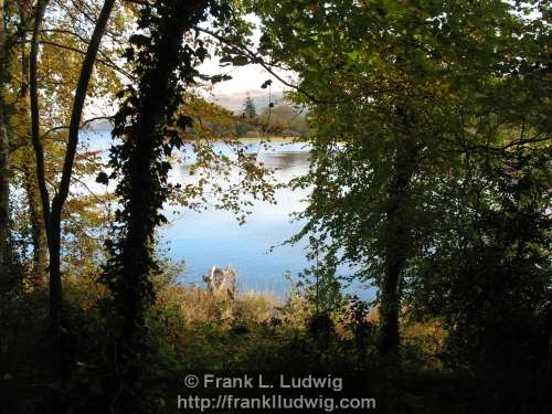 Tobernalt Bay, Lough Gill, Sligo